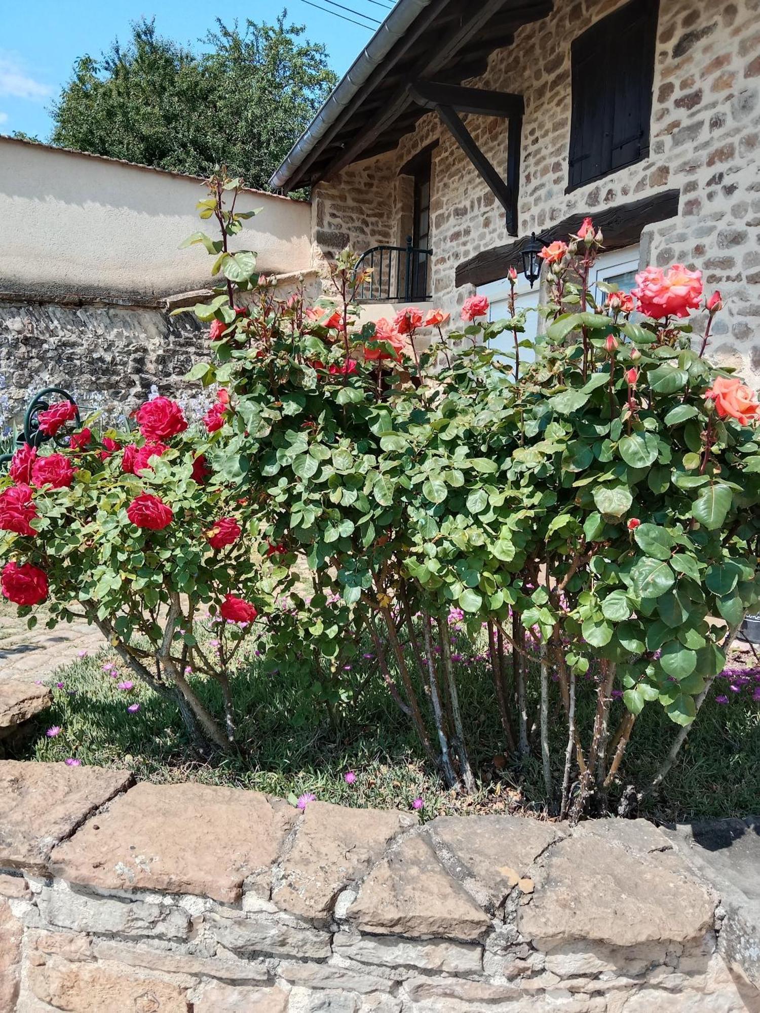 Bed and Breakfast L Olivier De St Leger Chateau  Экстерьер фото